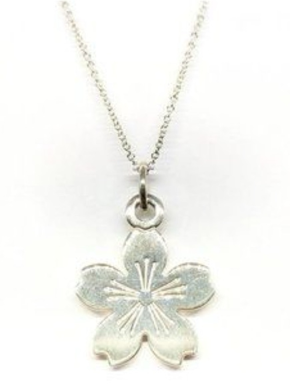 Limited Edition Tiffany and Co Necklace